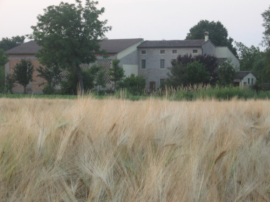 Agriturismo La Rovere Villa Cesole Kültér fotó